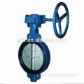 14" gear operated cast iron butterfly valve